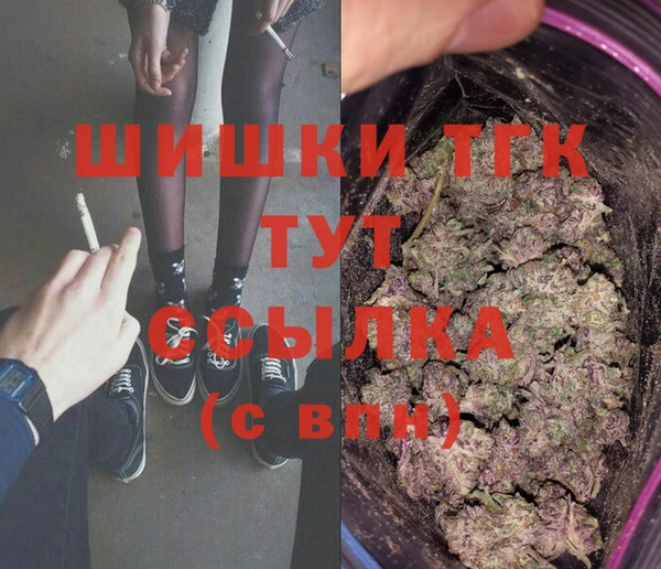 гашик Алзамай