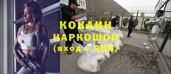 гашик Алзамай